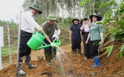Bắc Kạn: Trao tặng 100 triệu đồng mua cây giống trồng rừng cho hội viên, nông dân