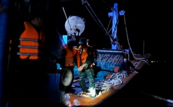 Bắt giữ một tàu giã cào khai thác thủy sản theo kiểu tận diệt trên vùng biển Thừa Thiên- Huế
