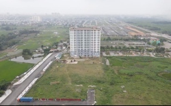 Dự án nhà ở xã hội cả trăm tỷ "bỏ hoang" biến thành bãi chăn thả trâu bò tại Thanh Hóa