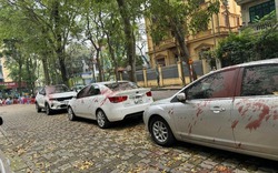 Hàng loạt ô tô đỗ trên vỉa hè ở quận Hoàng Mai (Hà Nội) bị tạt sơn đỏ