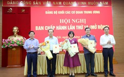 4 Thứ trưởng được Ban Bí thư chỉ định giữ trọng trách mới