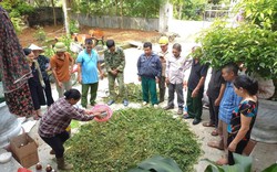 Ninh Bình: Hơn 100 hội viên nông dân được tuyên truyền về xử lý rác thải hữu cơ