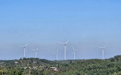 Uỷ ban kiểm tra Trung ương yêu cầu Đắk Nông cung cấp hồ sơ các dự án điện gió 