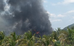 Lâm Đồng: Điều tra, làm rõ vụ cháy khiến hàng trăm cây dừa, mai vàng của người dân bị thiêu rụi