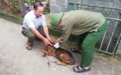 Nam Định: Để chó dại cắn người gây tử vong, người đứng đầu chính quyền phải chịu trách nhiệm
