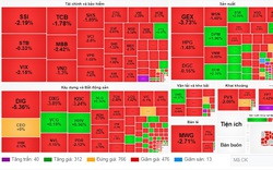 Áp lực bán tháo lan rộng, VN-Index lại giảm 15,57 điểm