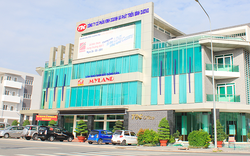 Công ty con của Becamex IDC sau kiểm toán, doanh thu "bốc hơi" 40%