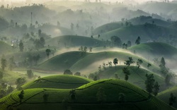 Tour Về miền Di sản UNESCO ghi danh dịp Giỗ Tổ           