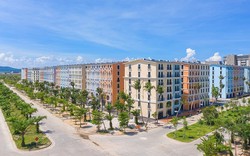 Một doanh nghiệp bất động sản tại Quảng Ninh giảm lợi nhuận năm 2023