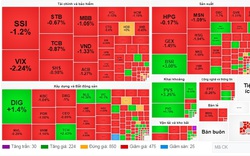 Áp lực bán tăng mạnh, VN-Index có thời điểm giảm hơn 11 điểm