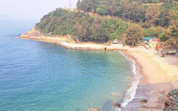Một hòn đảo đẹp như phim rộng 420ha ở biển Thanh Hóa, có rừng nguyên sinh, vô số động vật hoang dã
