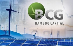 Bamboo Capital (BCG) có tân Tổng giám đốc trước thềm Đại hội cổ đông