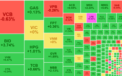 Tiền vào mạnh phiên chiều, bảng điện xanh mướt, VN-Index chốt cao nhất ngày