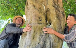 9X Đắk Lắk theo "nghề cầm kéo" có khu vườn "đa quốc tịch" la liệt cây khế cổ thụ hơn 200 tuổi
