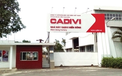 Cadivi (CAV) dự trình lợi nhuận "đi lùi", muốn huỷ niêm yết cổ phiếu trên HoSE