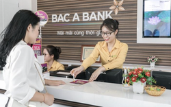 Bắc Á Bank (BAB) dự trình lợi nhuận thận trọng, muốn tăng vốn điều lệ lên hơn 11.500 tỷ đồng