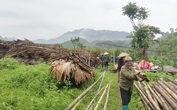 Mưa dông tại Bắc Kạn khiến hơn 300 ngôi nhà bị tốc mái, chợ tình Xuân Dương hư hỏng nặng