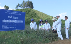 Phát huy vai trò khuyến nông trên địa bàn tỉnh Sơn La