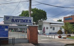 Savimex (SAV) chốt ngày chi 10 tỷ đồng trả cổ tức năm 2023 bằng tiền