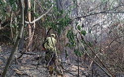 Cháy 2.000 m2 rừng tự nhiên tại Đà Nẵng