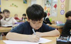 Vụ học sinh lớp 1, 2 cũng phải viết bài luận dự thi đại sứ văn hóa đọc: Giáo viên khẳng định "phi thực tế"