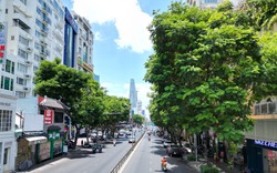 Bộ Công an yêu cầu TP.HCM cung cấp tài liệu, dự án cây xanh liên quan đến Công ty TNHH cây xanh Công Minh