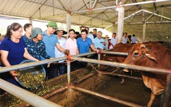 Ninh Bình: Cán bộ, hội viên nông dân thăm quan mô hình xử lý rác thải hữu cơ tại Nho Quan