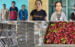 Phá đường dây mua bán trái phép vật liệu nổ từ Tây Nguyên về Thanh Hoá
