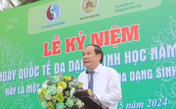 Ngày Quốc tế đa dạng sinh học 2024: "Hãy là một phần của Kế hoạch đa dạng sinh học"