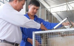 Anh nông dân kiếm 100 triệu/tháng nhờ nuôi con “thích ăn chuối, ham ăn cá đồng”