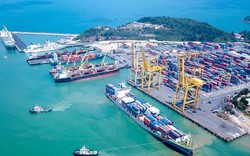 Cảng Đà Nẵng (CDN) chuẩn bị chi gần 139 tỷ đồng trả cổ tức năm 2023