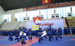 Hơn 300 HLV, VĐV tham gia Giải Vô địch Vovinam miền Bắc năm 2024