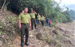 Thái Nguyên: Phối hợp tổ chức 253 buổi tuần tra rừng với hơn 700 lượt người tham gia