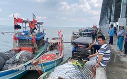 Tại sao, hơn 3 tháng qua, nhiều hộ dân đánh bắt thủy sản gần bờ ở Bến Tre không được ra khơi?