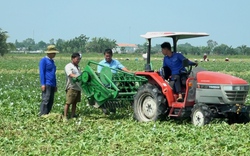 Sáng chế nông cụ độc đáo gắn sau cái máy cày, một người An Giang được cả làng phục lăn