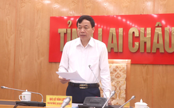 Chủ tịch UBND tỉnh Lai Châu chủ trì họp bàn giải pháp thực hiện chính sách BHXH, BHYT, BHTN