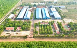 Đề nghị tránh nhầm lẫn Tập đoàn công nghiệp cao su Việt Nam với Casumina
