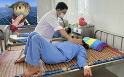 Quảng Ngãi: Ăn cá nóc, 5 người trong một gia đình ở đảo Lý Sơn suýt tử vong 
