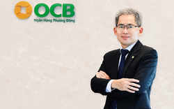 Chân dung ông Phạm Hồng Hải - quyền Tổng Giám đốc OCB