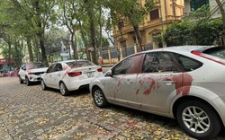 Nghi phạm nói lý do tạt sơn hàng loạt ô tô ở quận Hoàng Mai (Hà Nội)