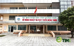 Vì sao Sở NN&PTNT Quảng Ngãi trả hồ sơ đăng ký hợp quy giống lúa PY2 của Công ty miền Trung?
