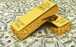 SSI Research: Tỷ giá USD/VND và giá vàng biến động trái ngược với thế giới
