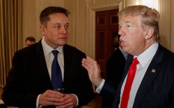 Elon Musk bắt tay với Trump sau khi chỉ trích bản án nhằm vào cựu tổng thống