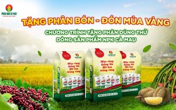 Phân bón Cà Mau đồng hành cùng nông dân: Tặng phân bón, đón mùa vàng