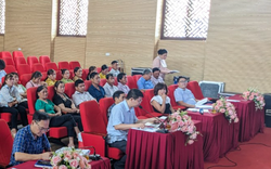Nông dân một huyện của Lào Cai tổ chức hội thảo xây dựng nhãn hiệu tập thể Dứa Bảo Thắng