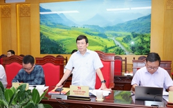Ban Kinh tế Trung ương làm việc với Tỉnh ủy Lào Cai về hoạt động của các công ty nông, lâm nghiệp