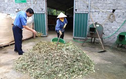 Ninh Bình: Tuyên truyền, vận động nông dân xử lý rác thải bảo vệ môi trường 
