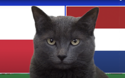 Mèo tiên tri Cass dự đoán kết quả Ba Lan vs Hà Lan