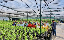 Video: Huyện Củ Chi tăng cường phát triển HTX nông nghiệp 