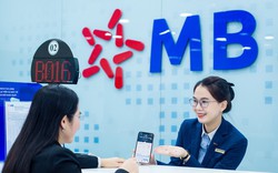 Chân dung 7 nhân sự mới trong Hội đồng quản trị MBBank